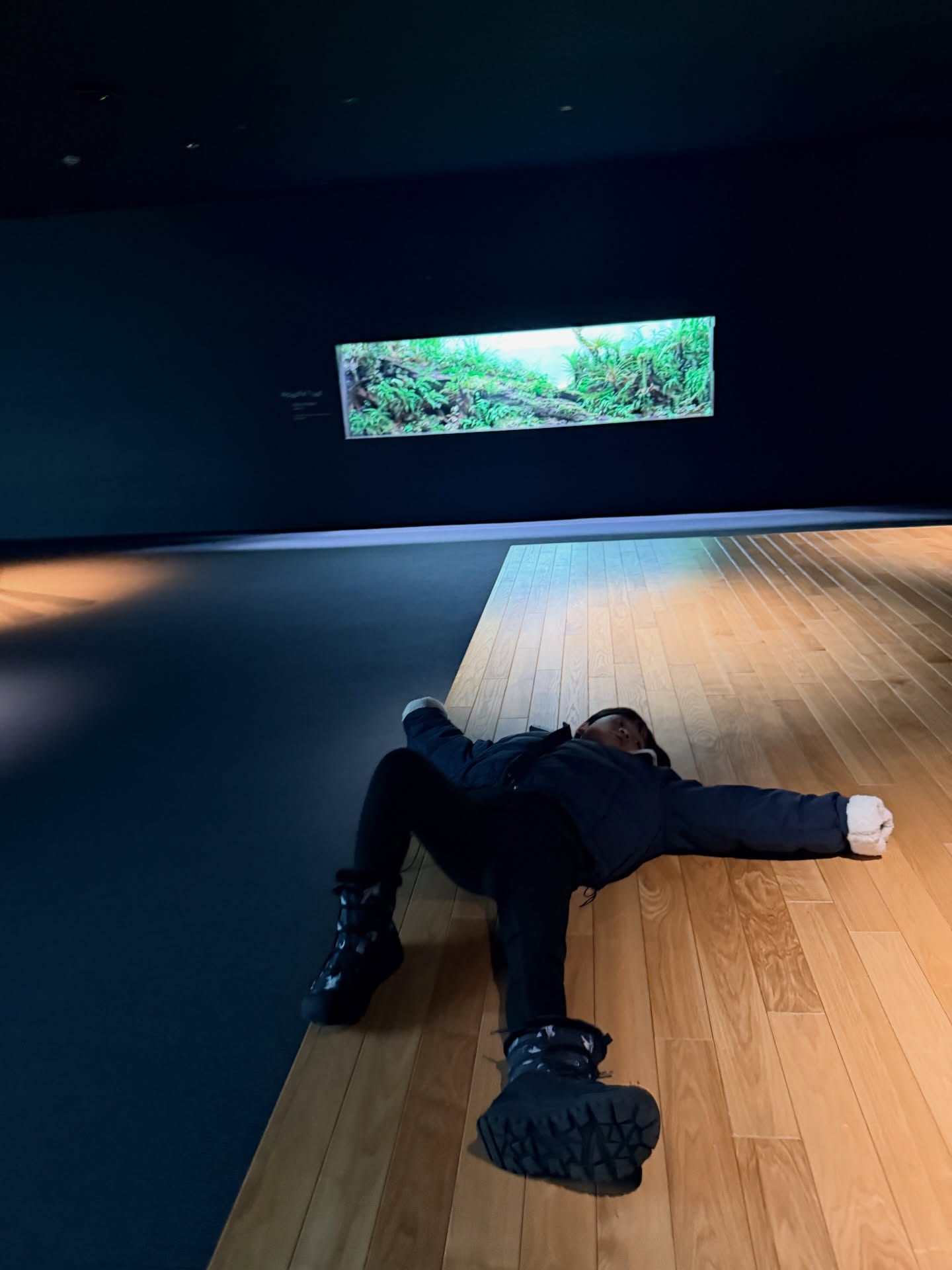 นิวเคลียร์ - หรรษา จึงวิวัฒนวงศ์