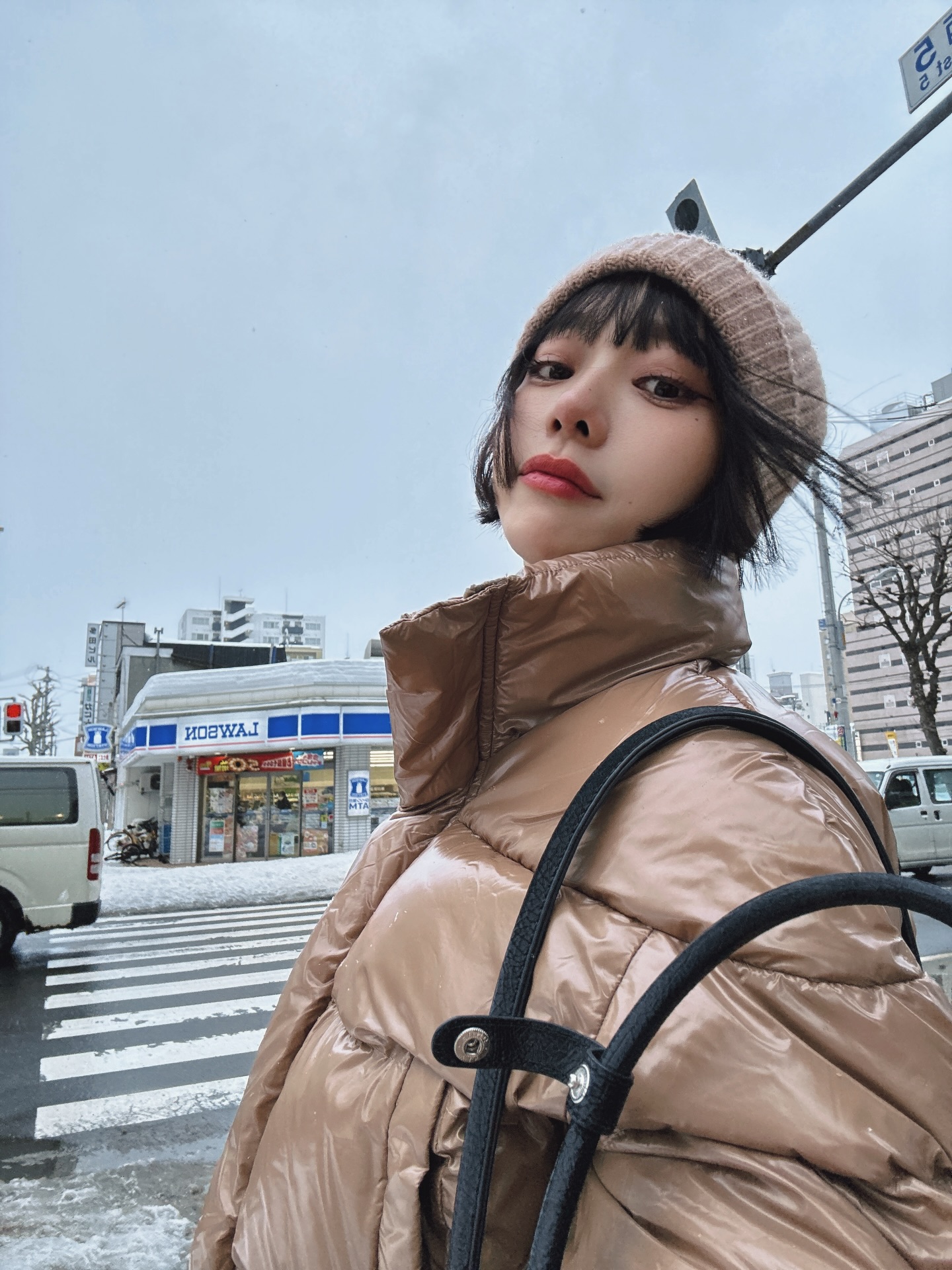 นิวเคลียร์ - หรรษา จึงวิวัฒนวงศ์