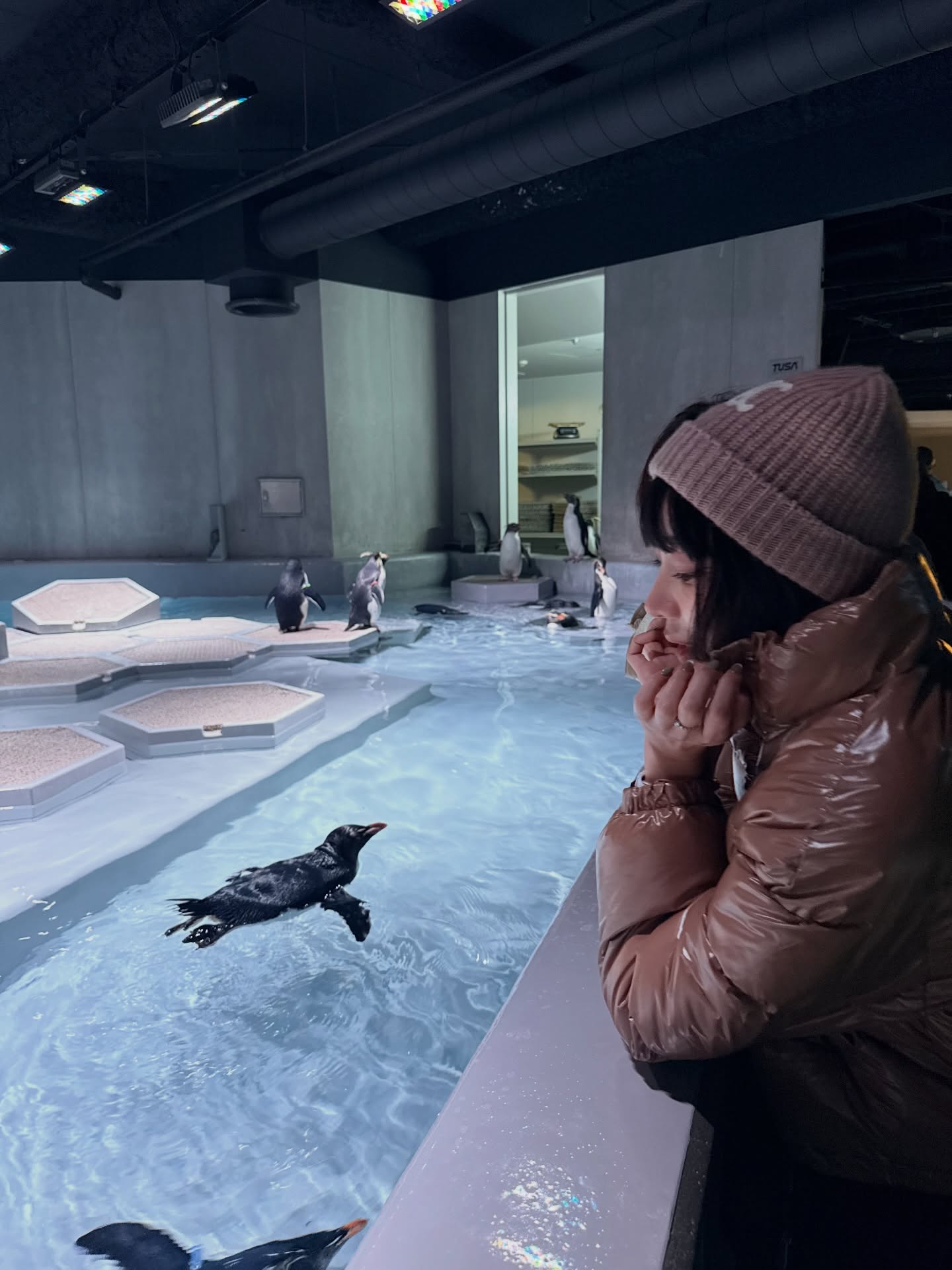 นิวเคลียร์ - หรรษา จึงวิวัฒนวงศ์