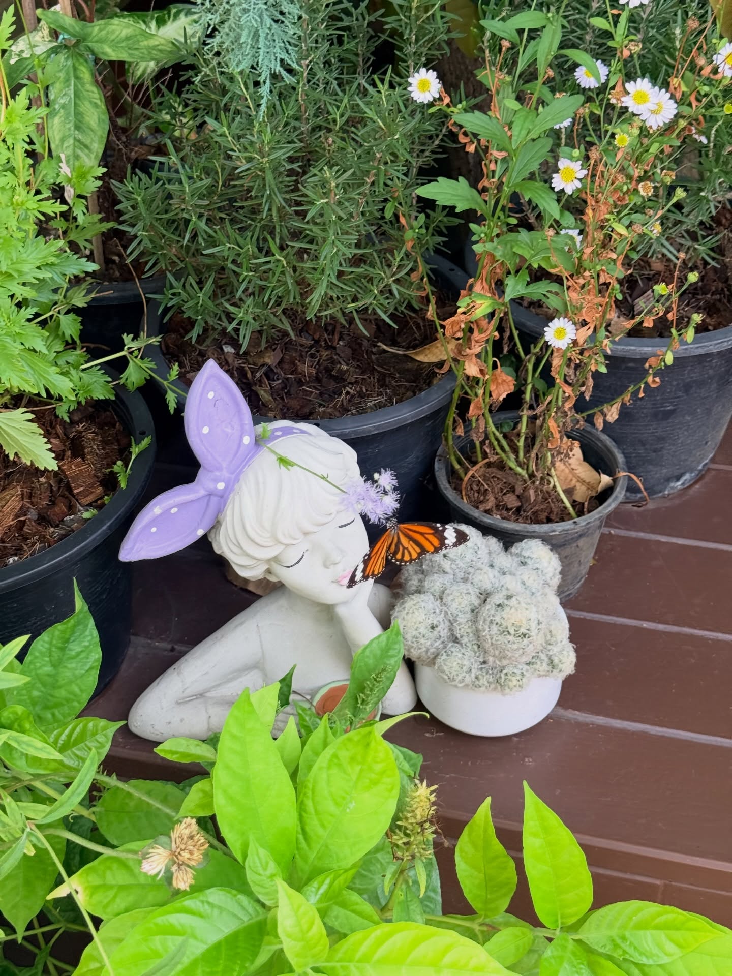 นิวเคลียร์ - หรรษา จึงวิวัฒนวงศ์