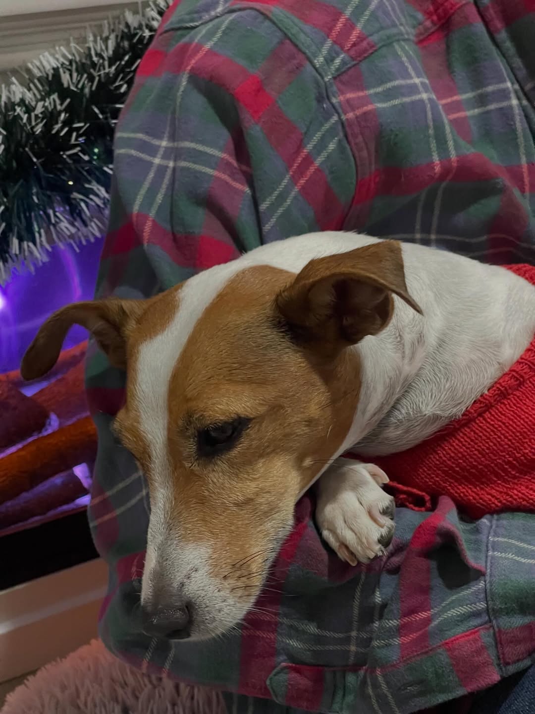 เด่นคุณ งามเนตร