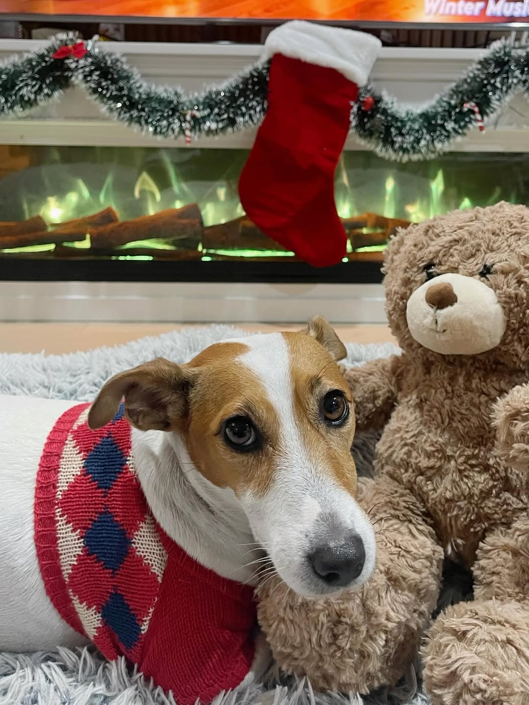 เด่นคุณ งามเนตร