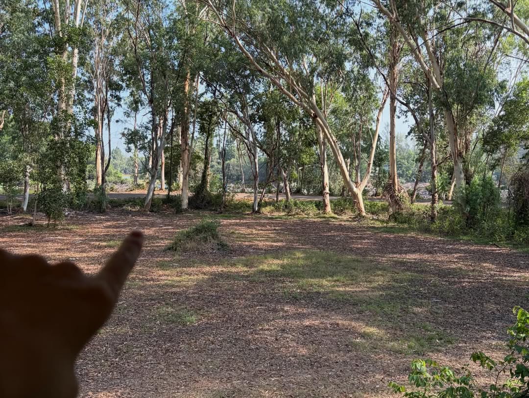 ปอย - ตรีชฎา เพชรรัตน์