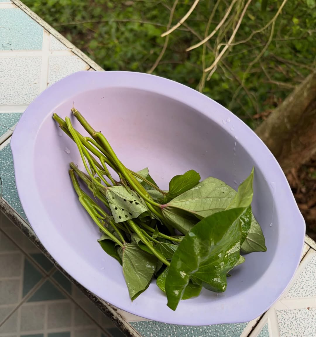 ปอย - ตรีชฎา เพชรรัตน์