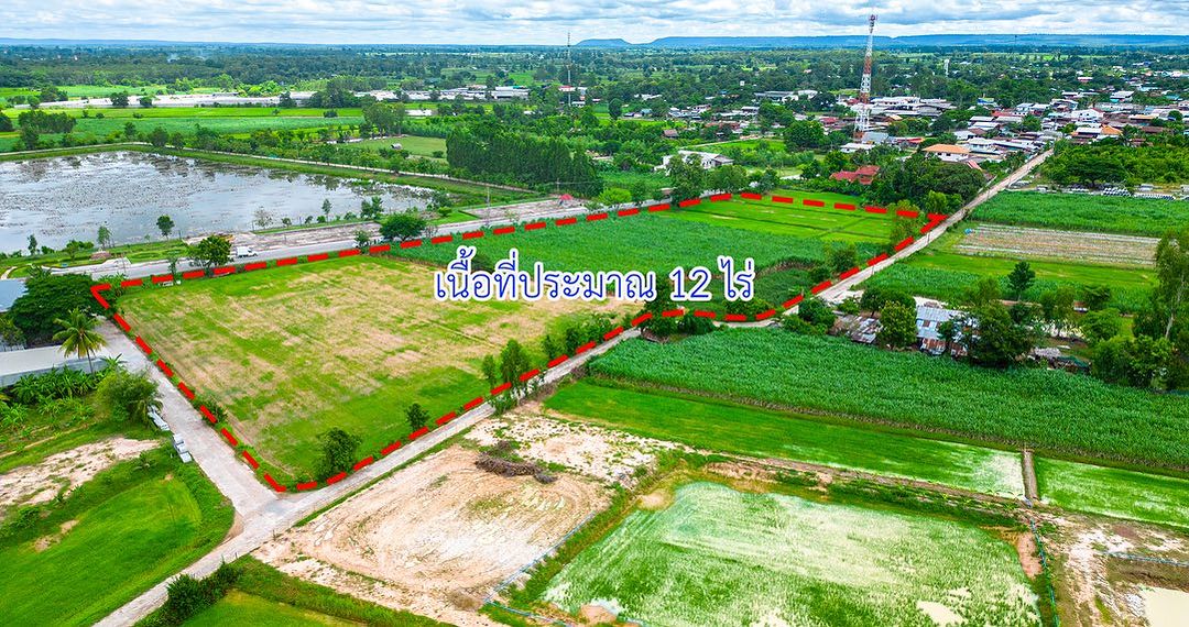 ตงตง - กฤษกร กนกธร