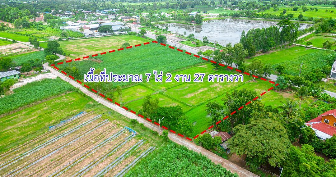 ตงตง - กฤษกร กนกธร