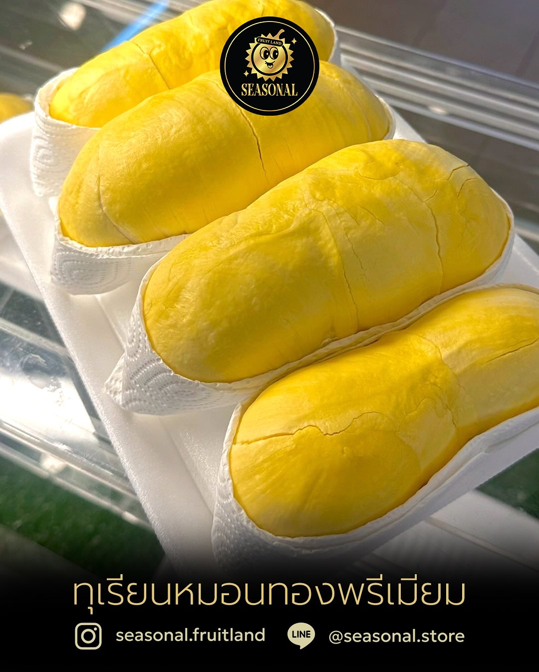 ตงตง - กฤษกร กนกธร