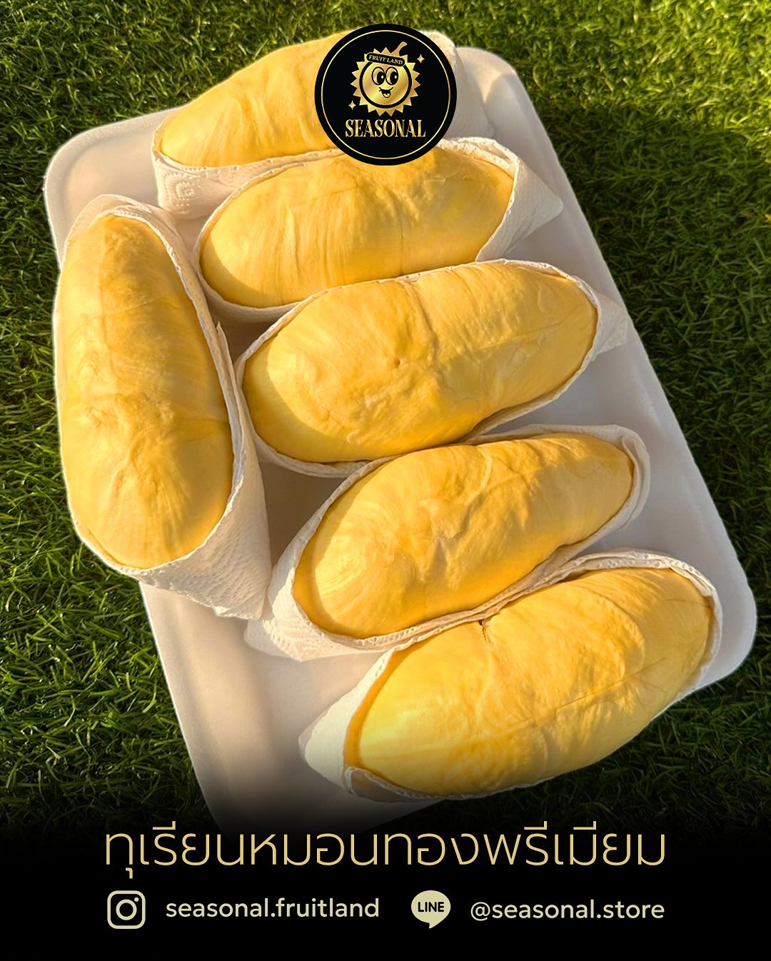 ตงตง - กฤษกร กนกธร
