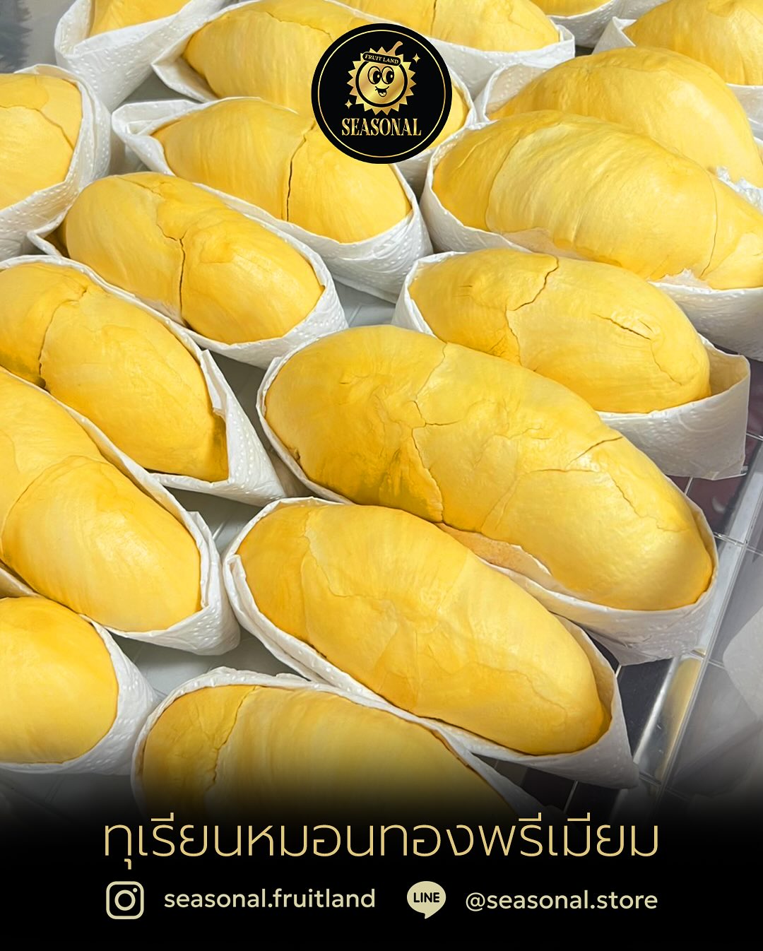 ตงตง - กฤษกร กนกธร