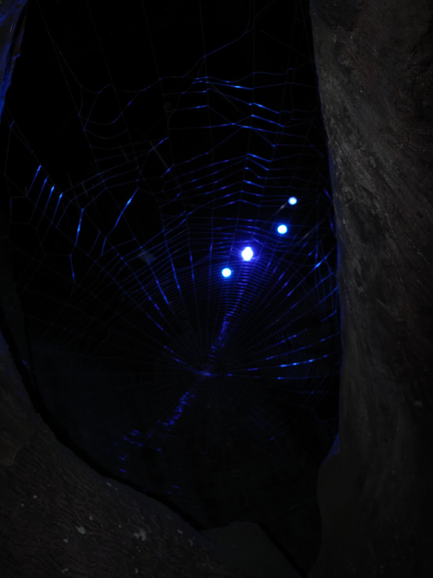 ตงตง - กฤษกร กนกธร