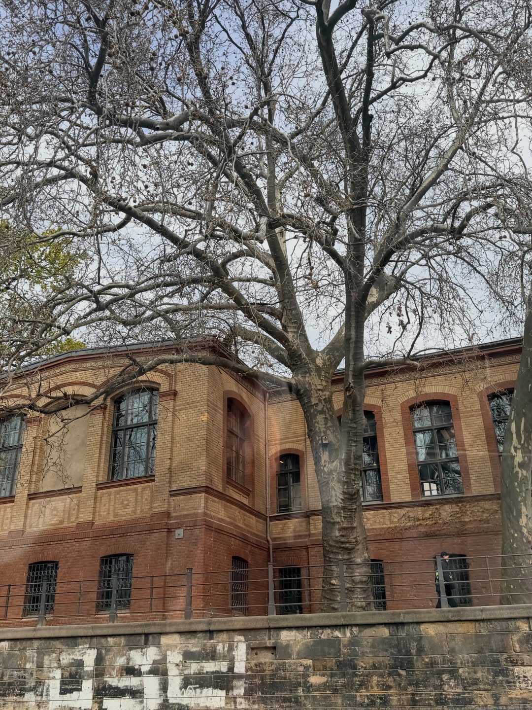 มอส - ปฏิภาณ ปฐวีกานต์