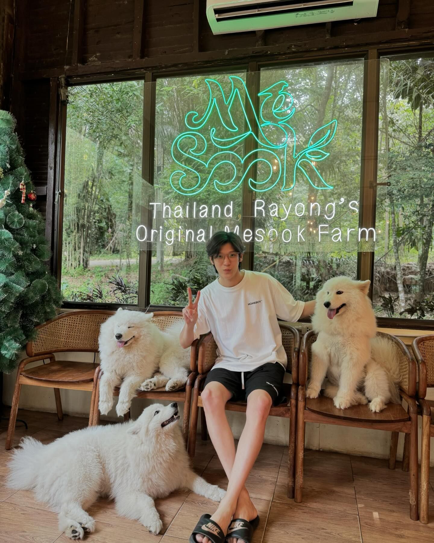 จิมมี่ - กานต์ กฤษณะพันธ์