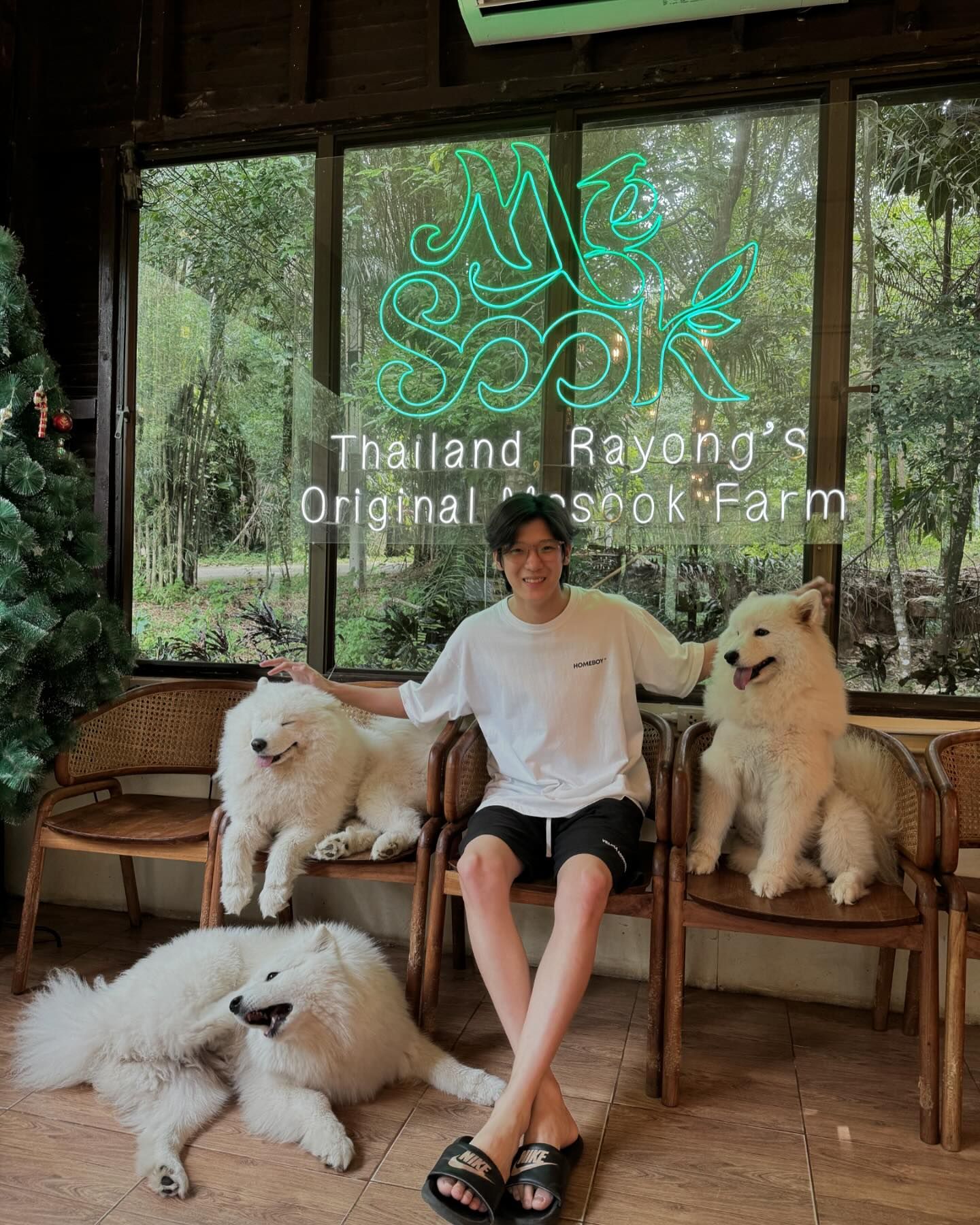 จิมมี่ - กานต์ กฤษณะพันธ์