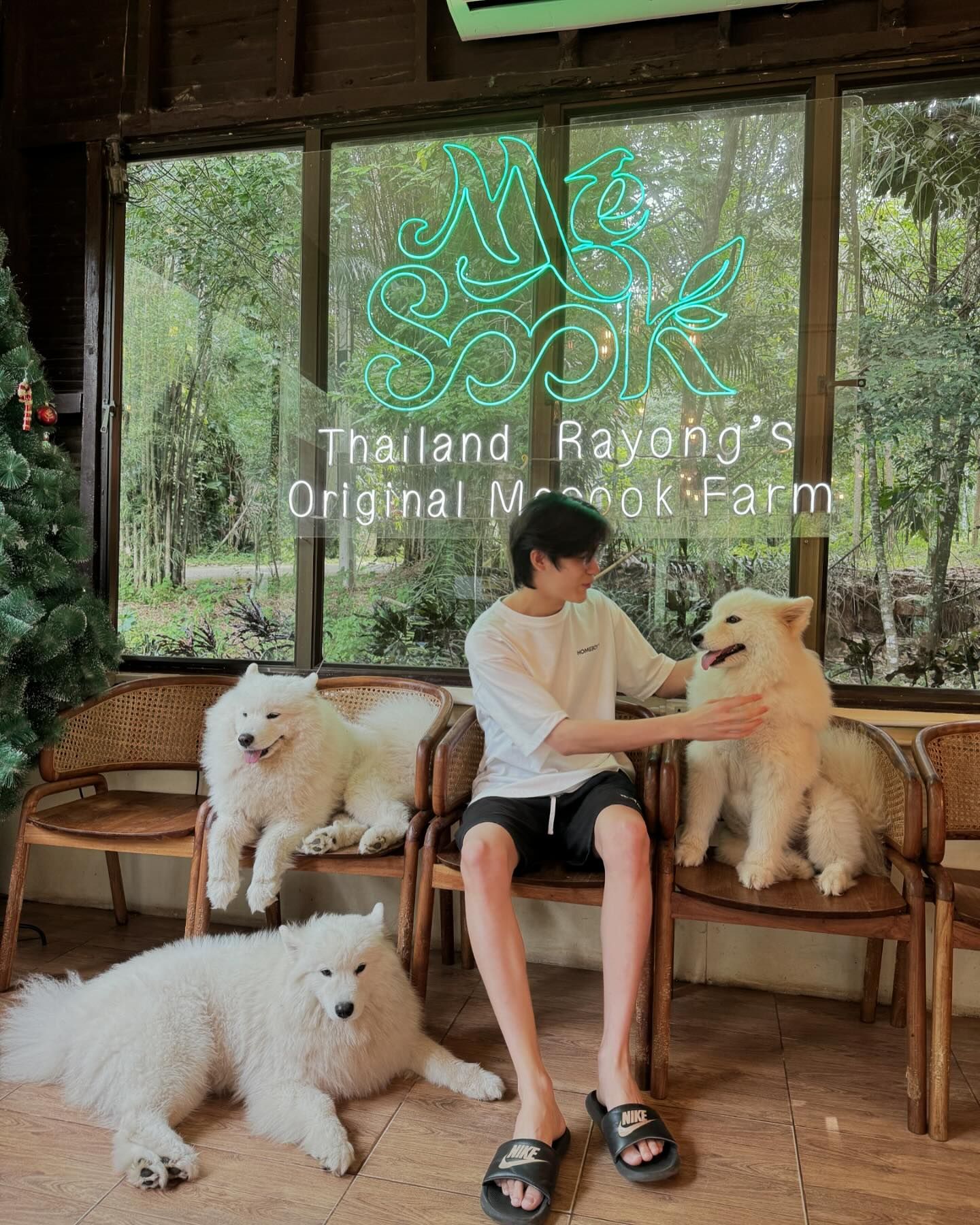 จิมมี่ - กานต์ กฤษณะพันธ์
