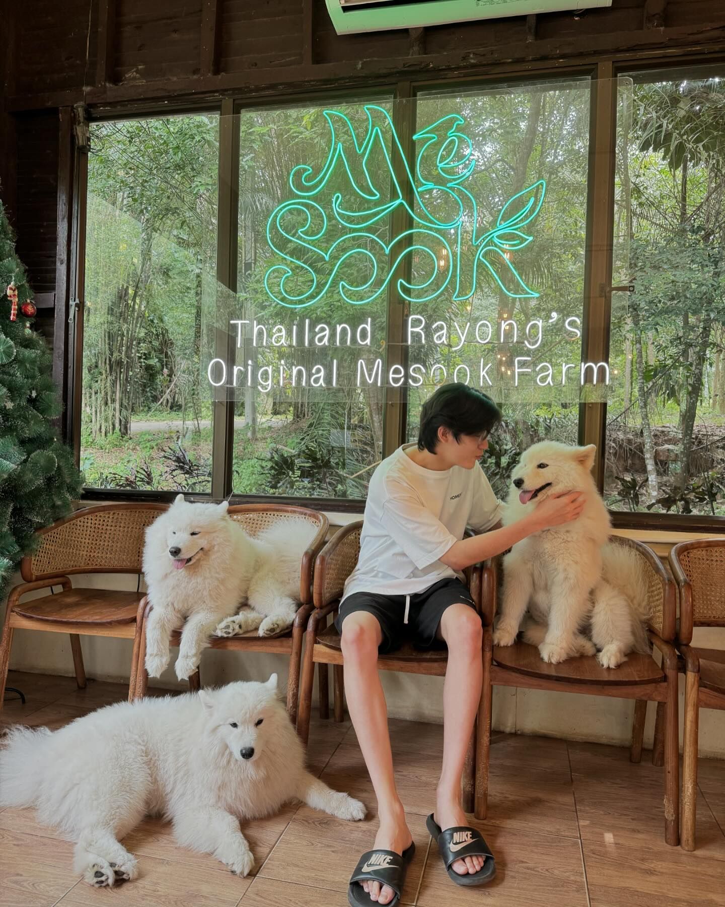 จิมมี่ - กานต์ กฤษณะพันธ์