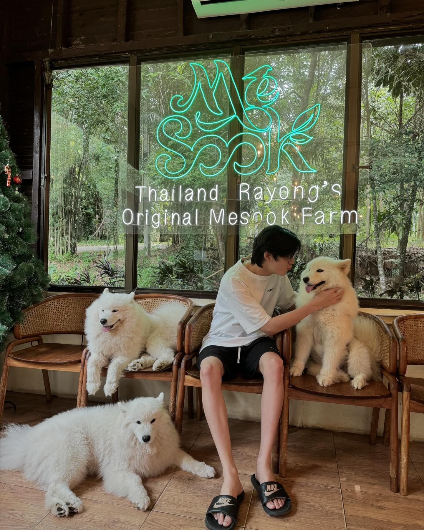 จิมมี่ - กานต์ กฤษณะพันธ์
