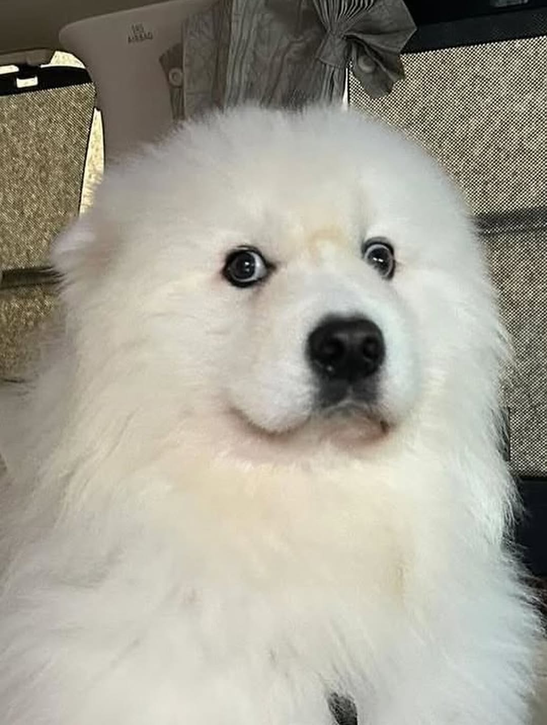 จิมมี่ - กานต์ กฤษณะพันธ์