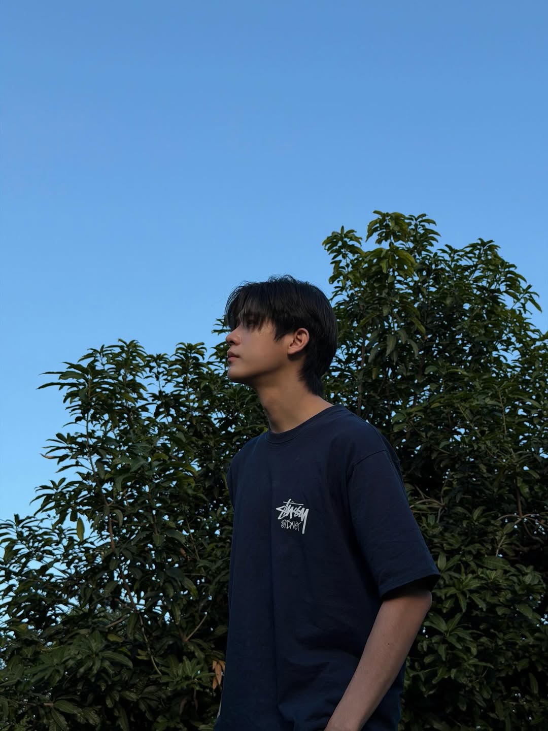 จิมมี่ - กานต์ กฤษณะพันธ์