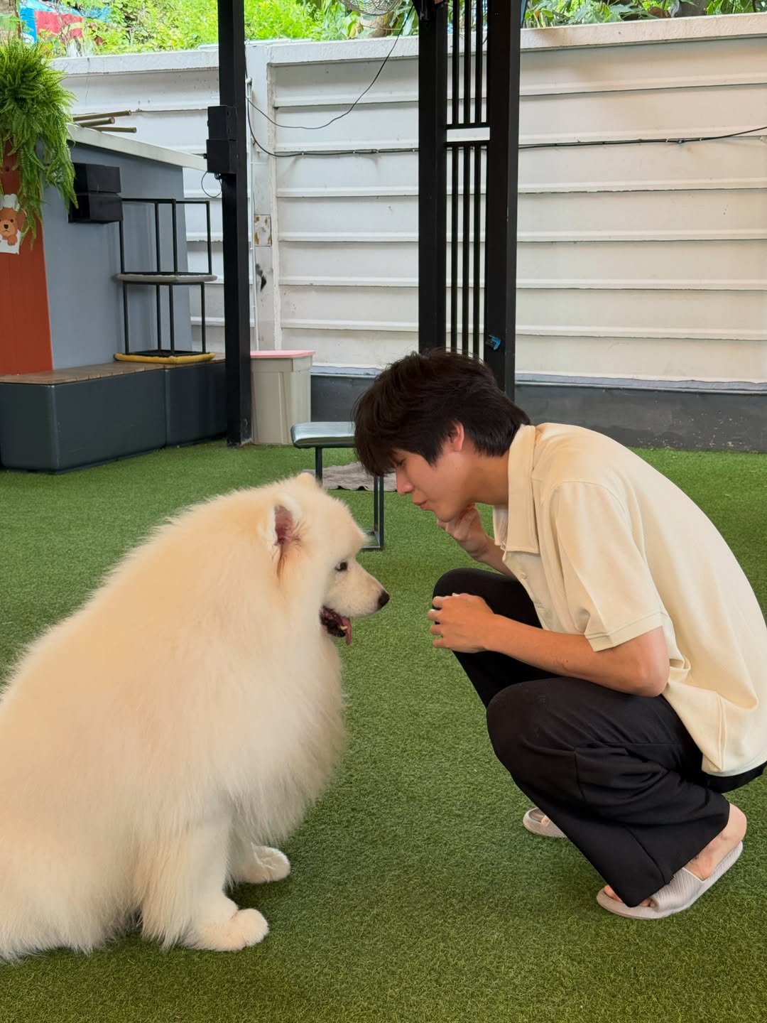 จิมมี่ - กานต์ กฤษณะพันธ์