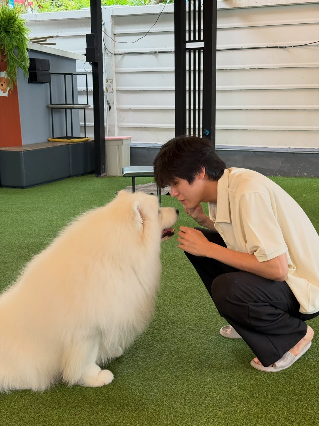 จิมมี่ - กานต์ กฤษณะพันธ์