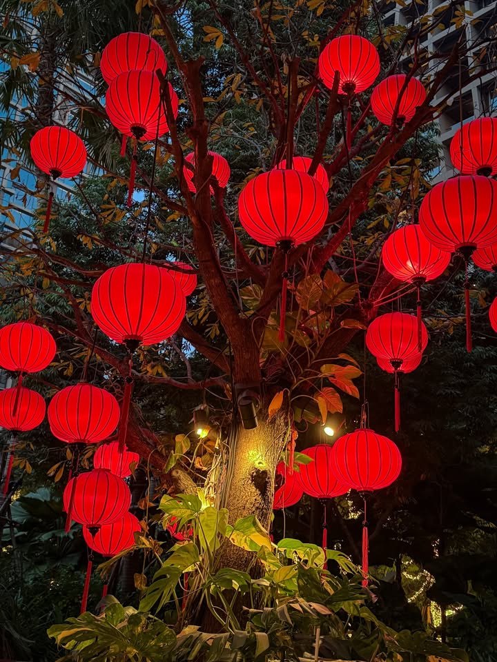 นัท - ณัฐ ศักดาทร