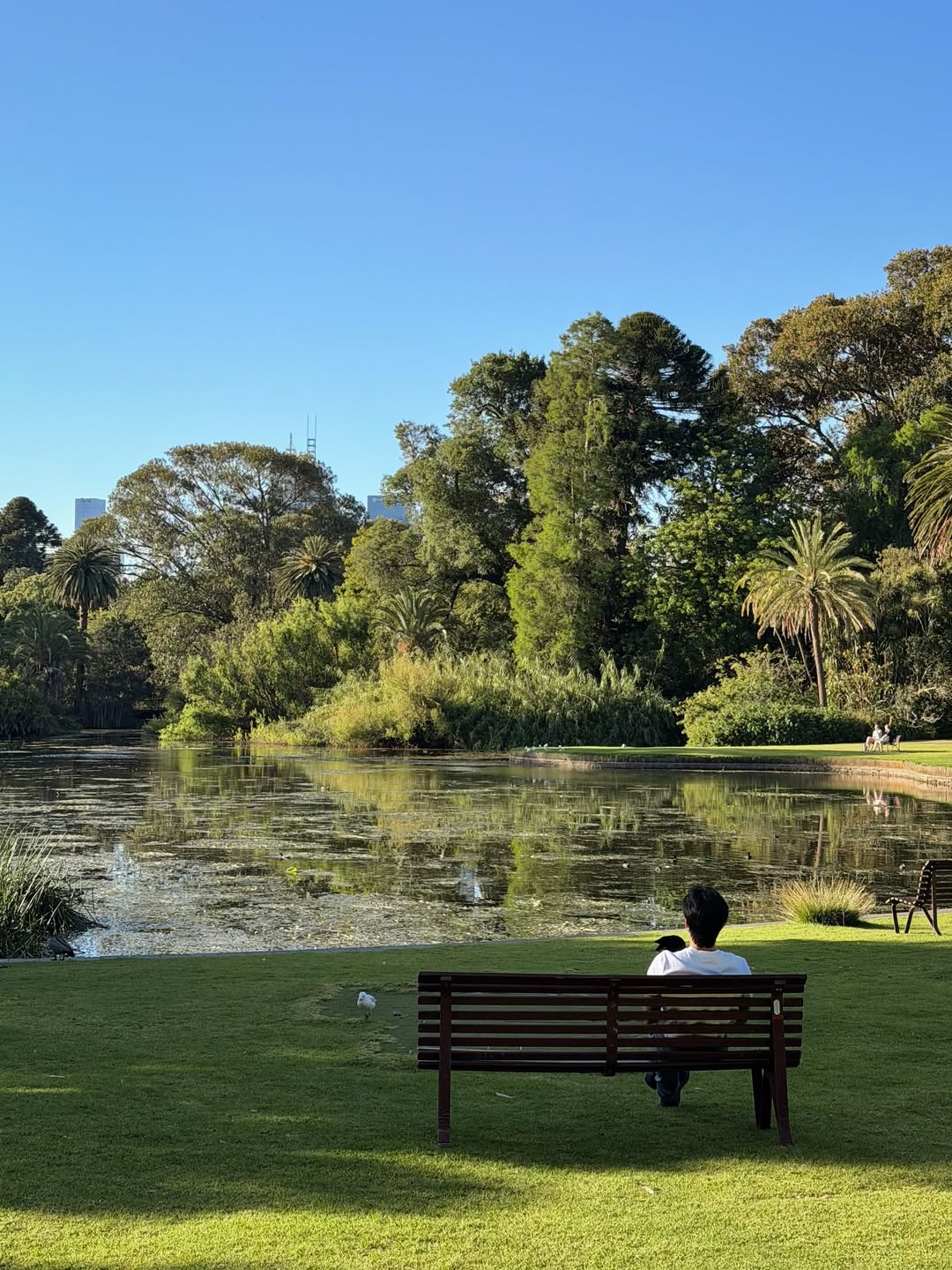 นัท - ณัฐ ศักดาทร