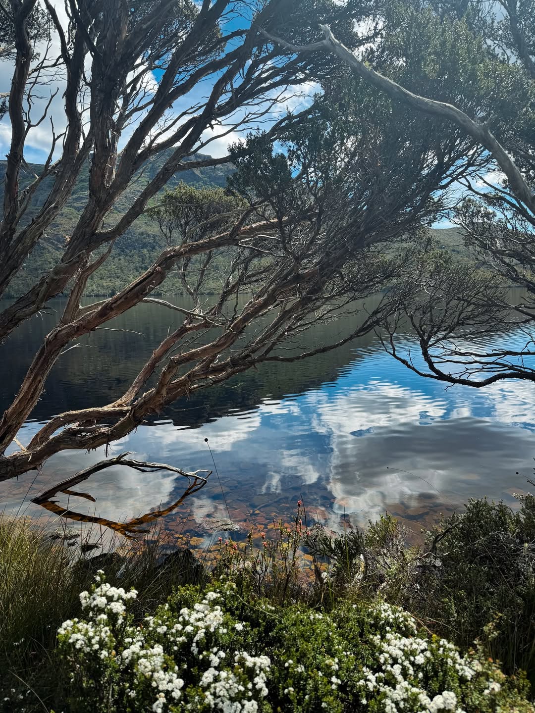 นัท - ณัฐ ศักดาทร