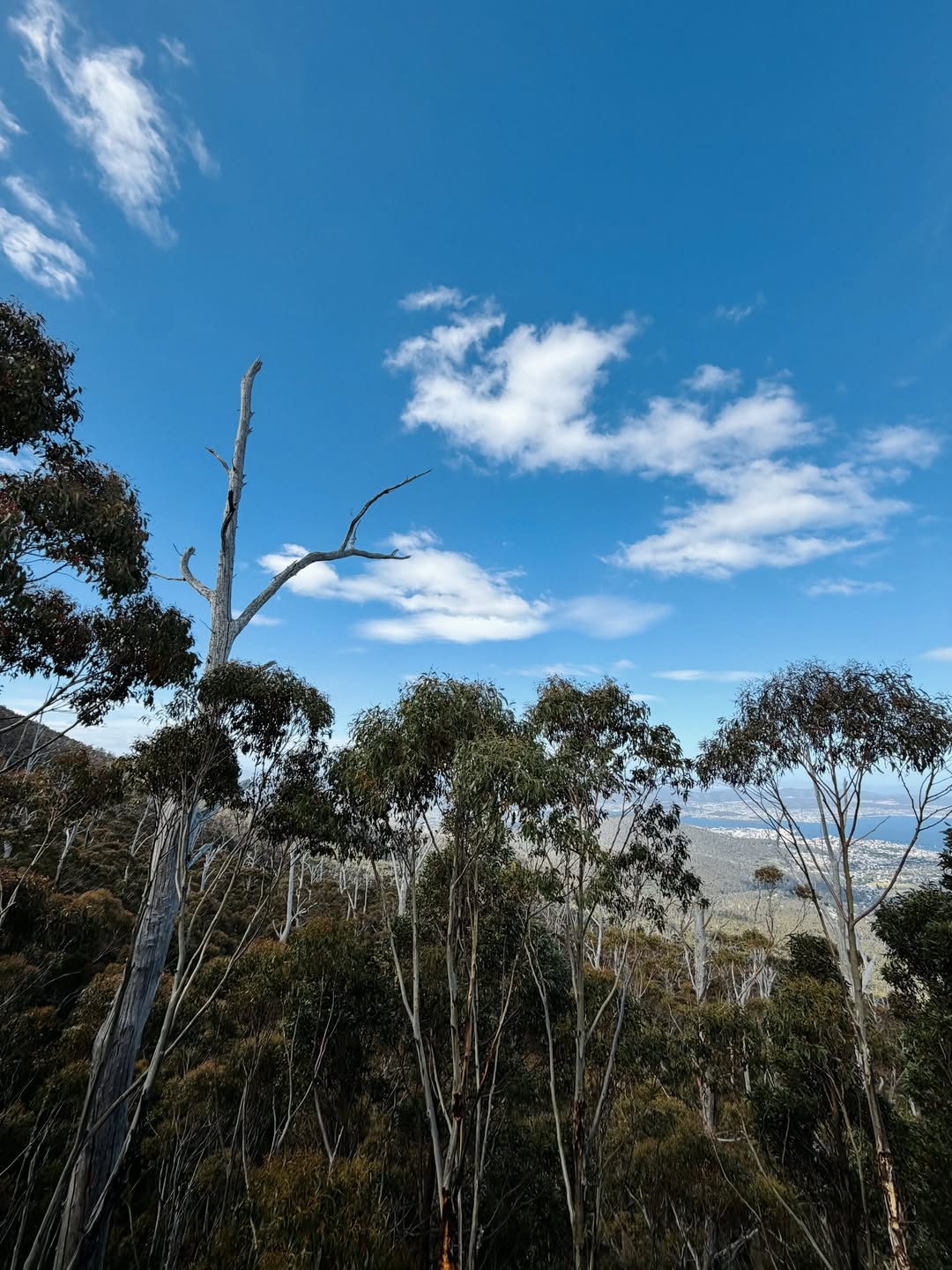 นัท - ณัฐ ศักดาทร