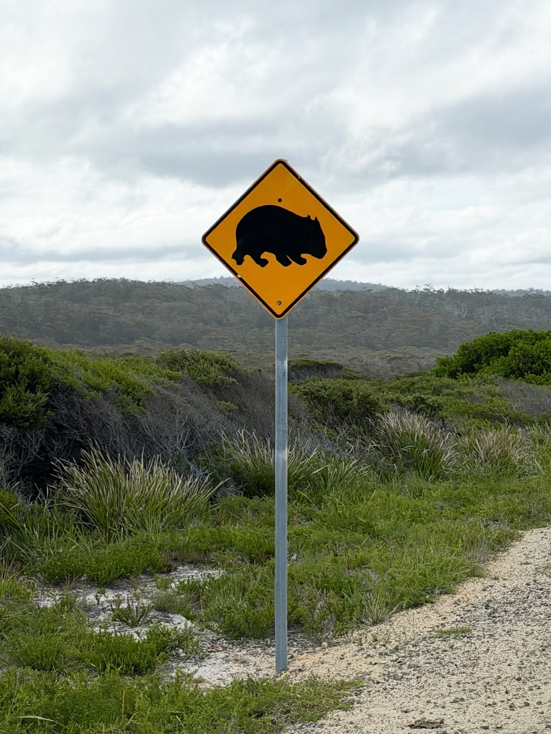 นัท - ณัฐ ศักดาทร