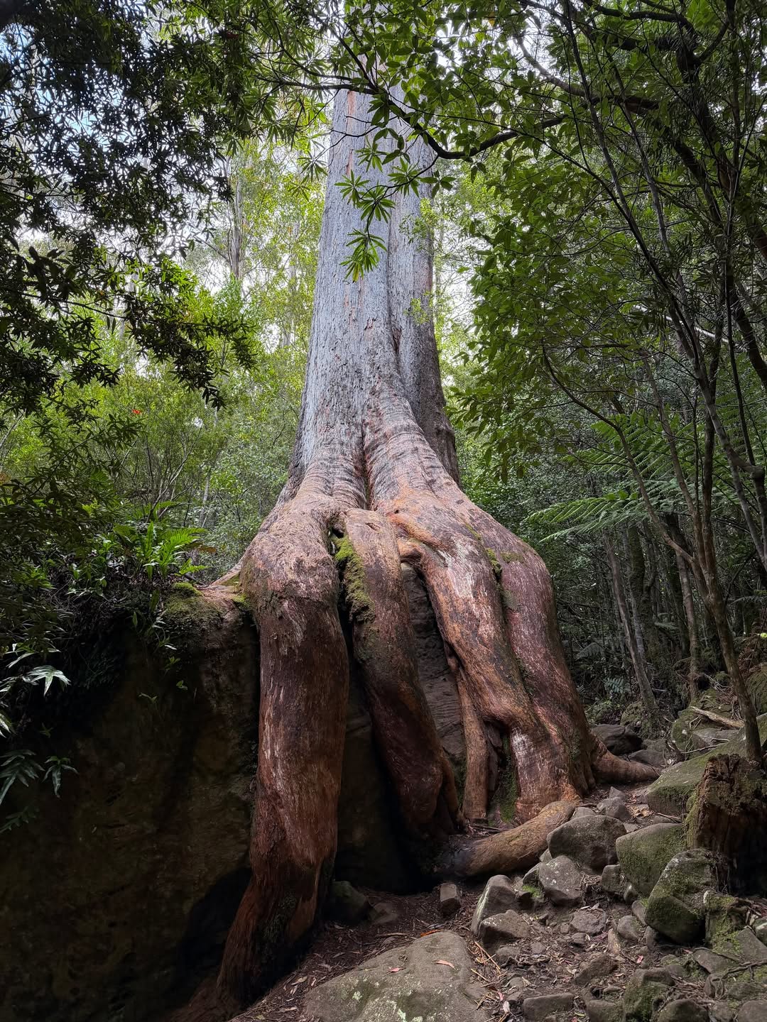 นัท - ณัฐ ศักดาทร