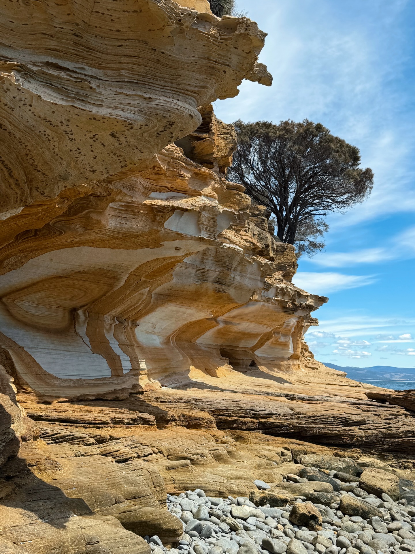 นัท - ณัฐ ศักดาทร