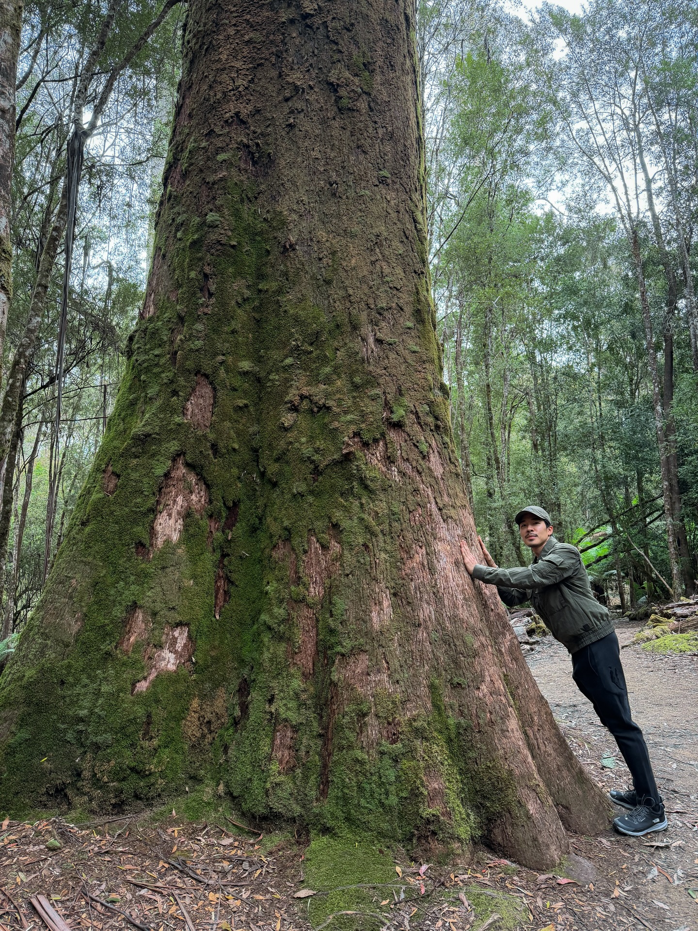 นัท - ณัฐ ศักดาทร