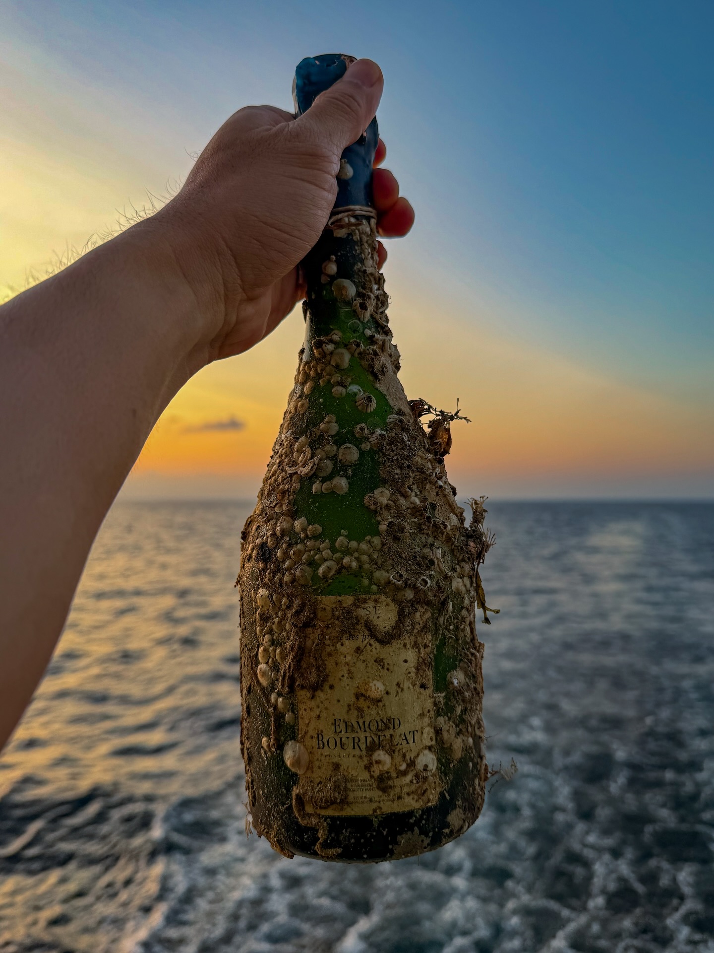 นัท - ณัฐ ศักดาทร