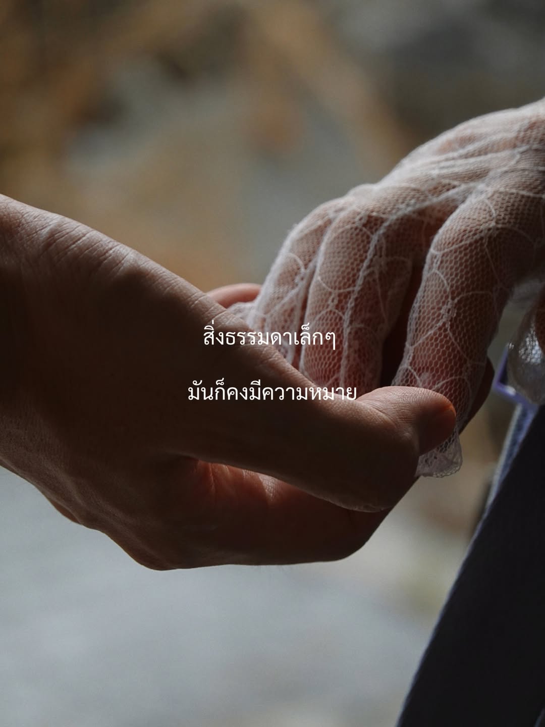 นัท - ณัฐ ศักดาทร