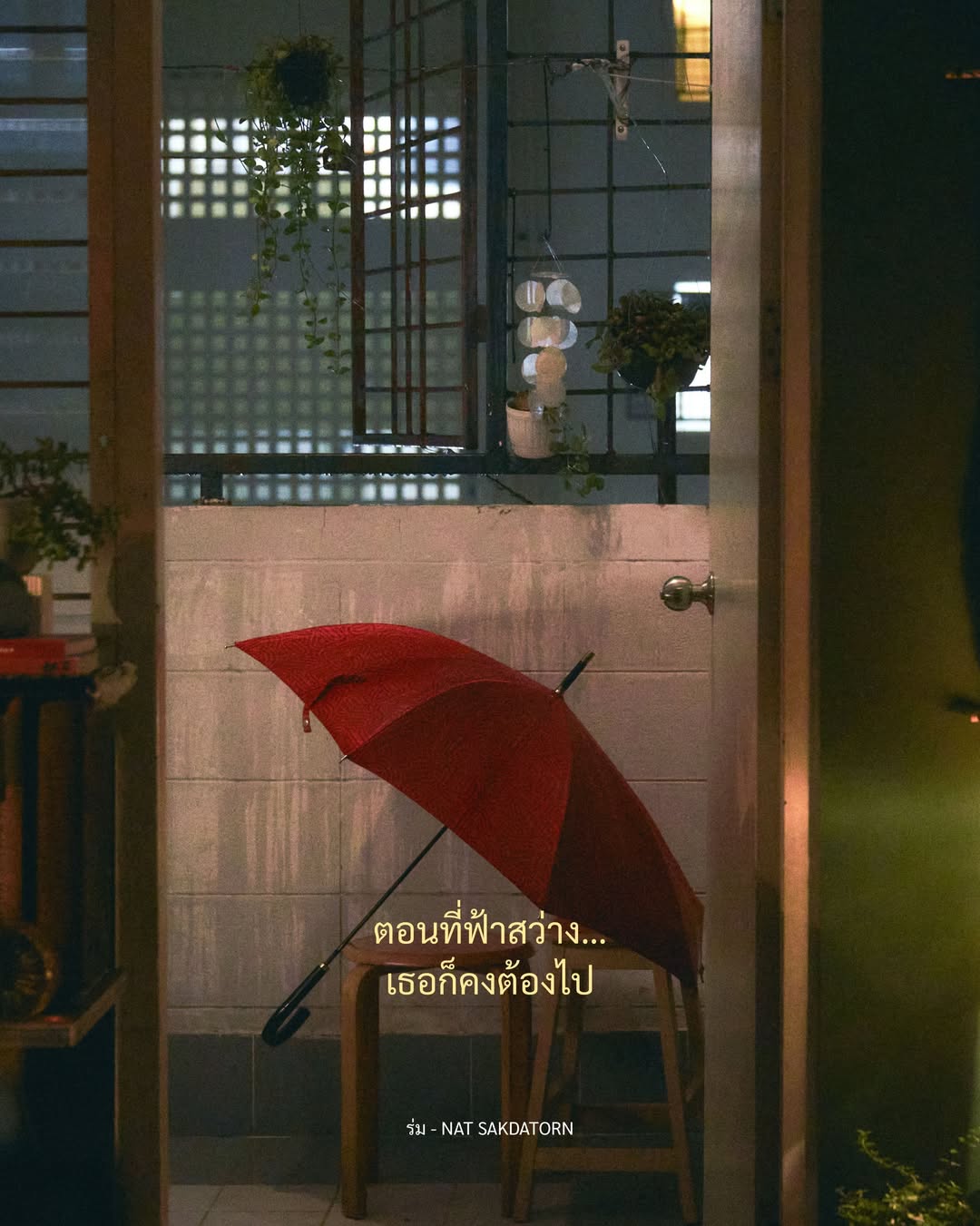 นัท - ณัฐ ศักดาทร