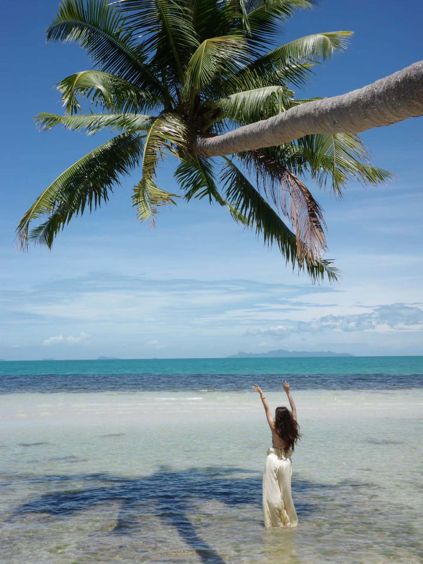 พิม - พิมประภา ตั้งประภาพร