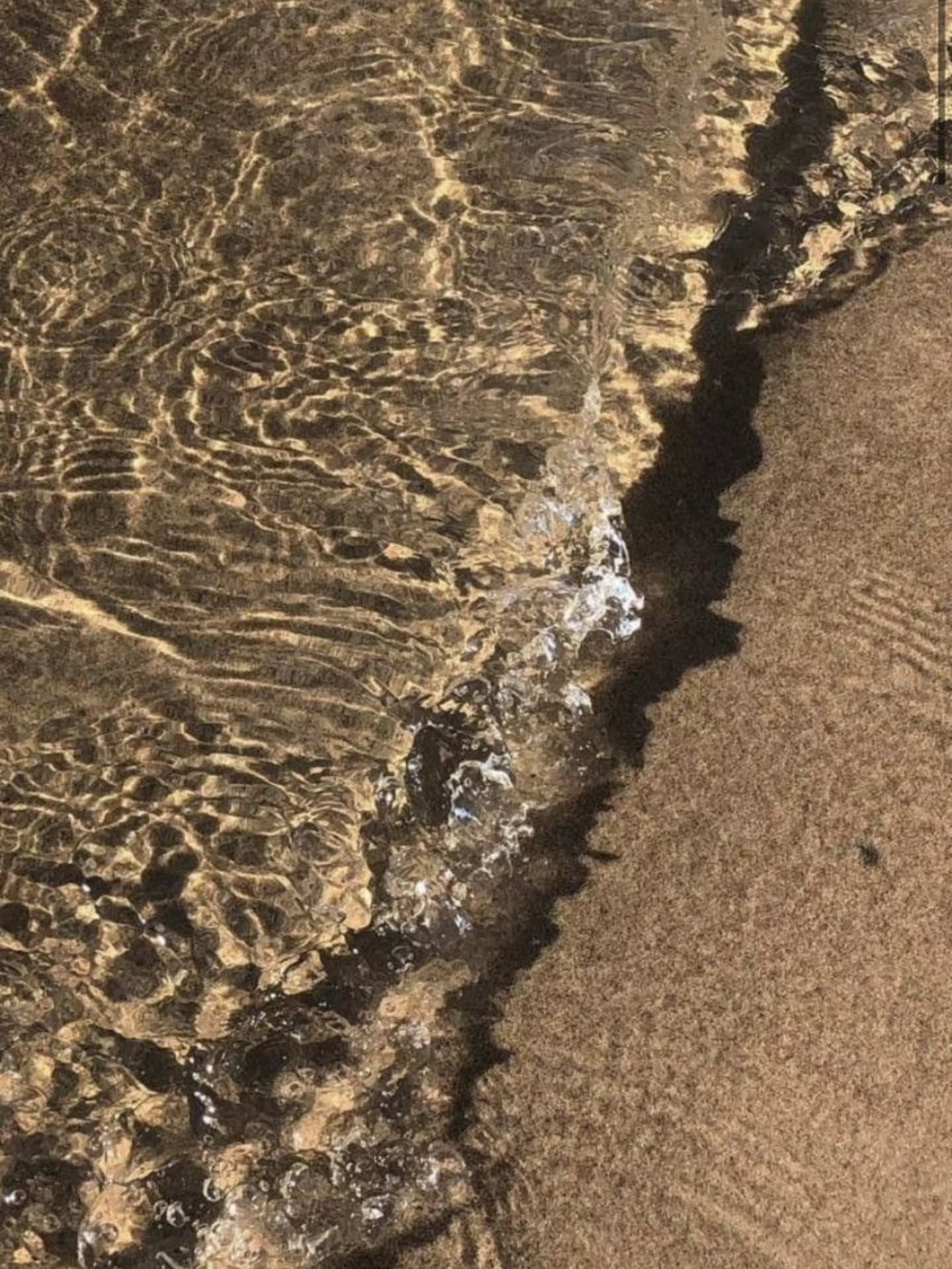 พิม - พิมประภา ตั้งประภาพร