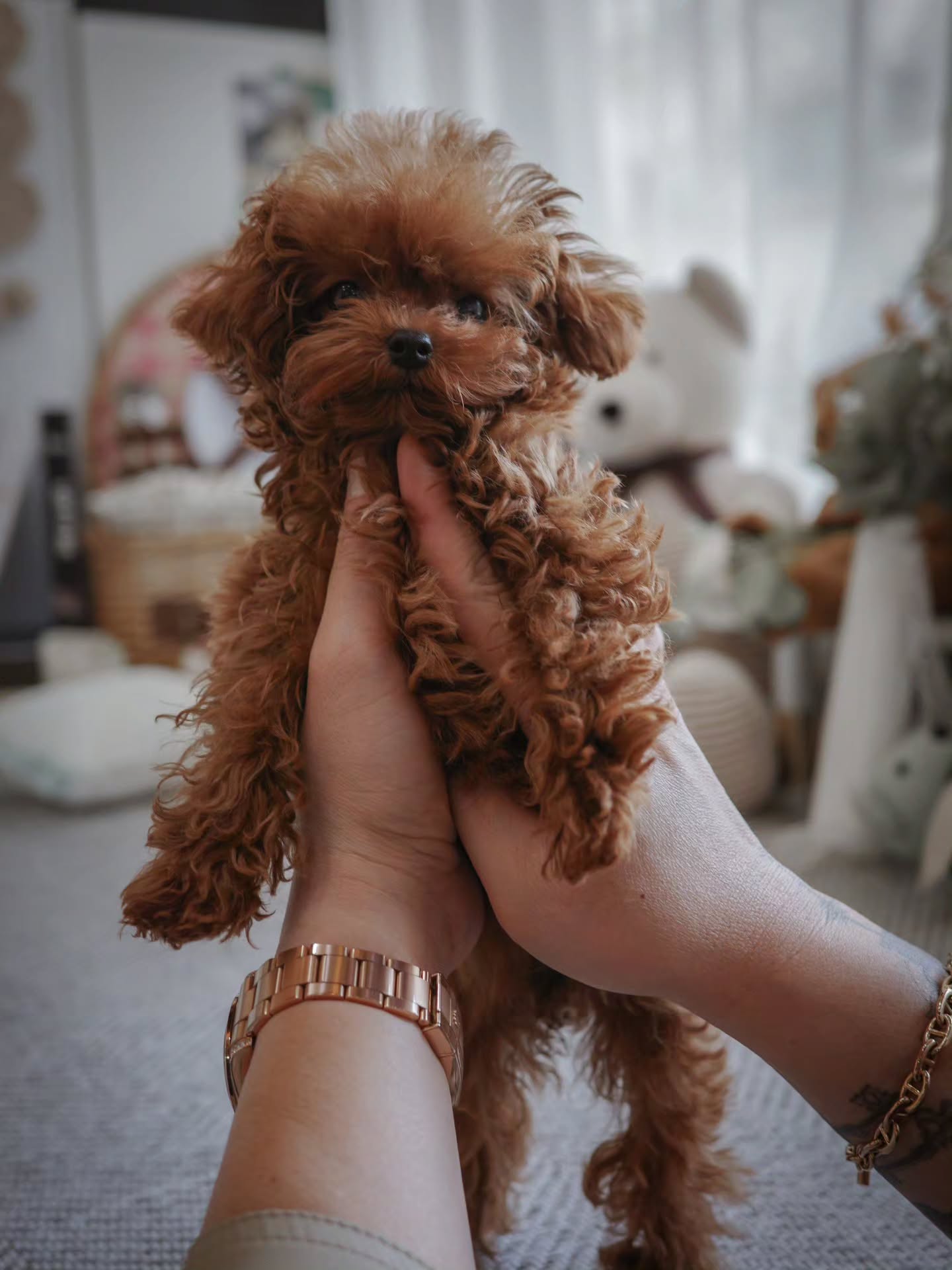 พิม - พิมประภา ตั้งประภาพร