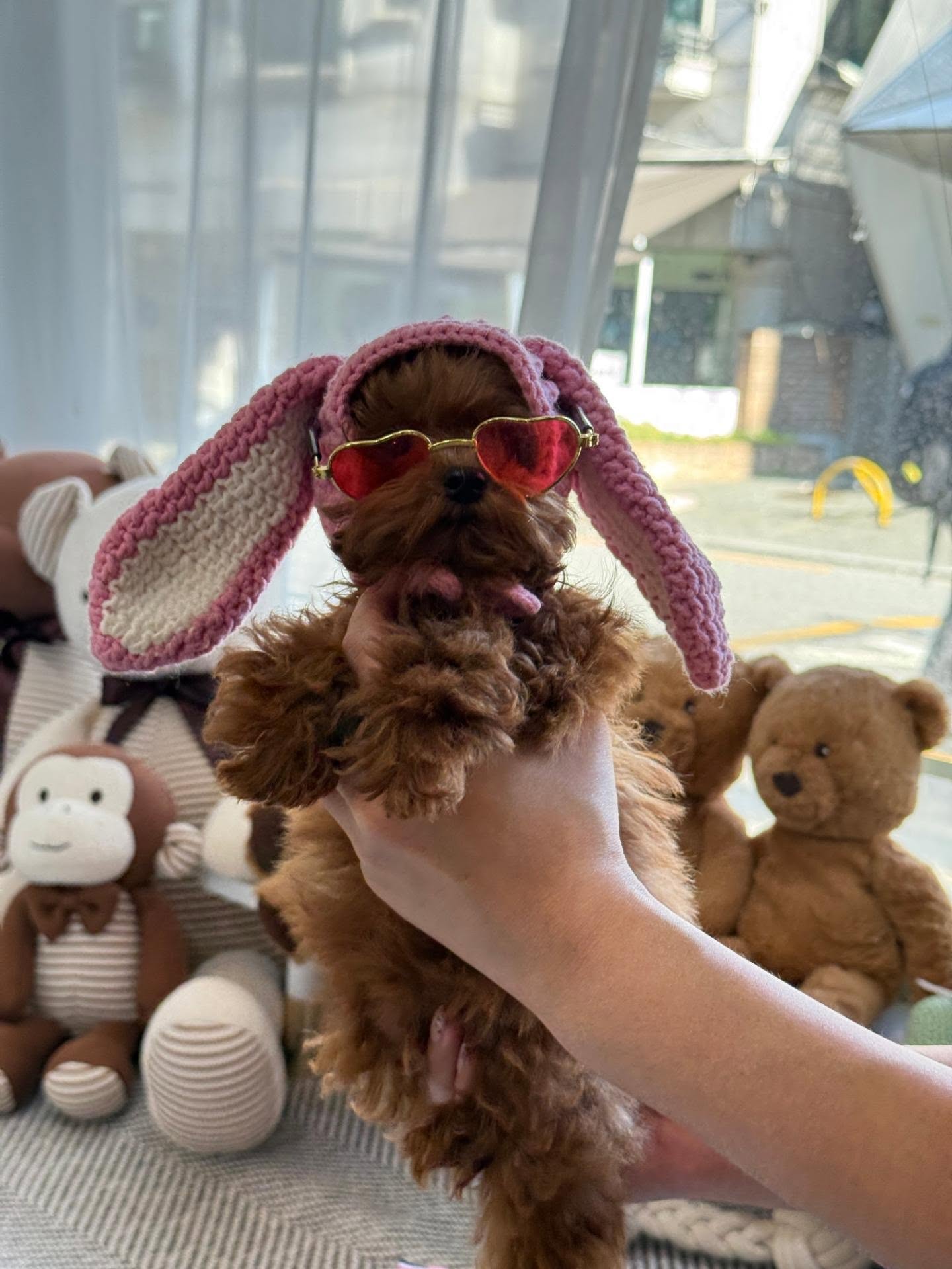 พิม - พิมประภา ตั้งประภาพร