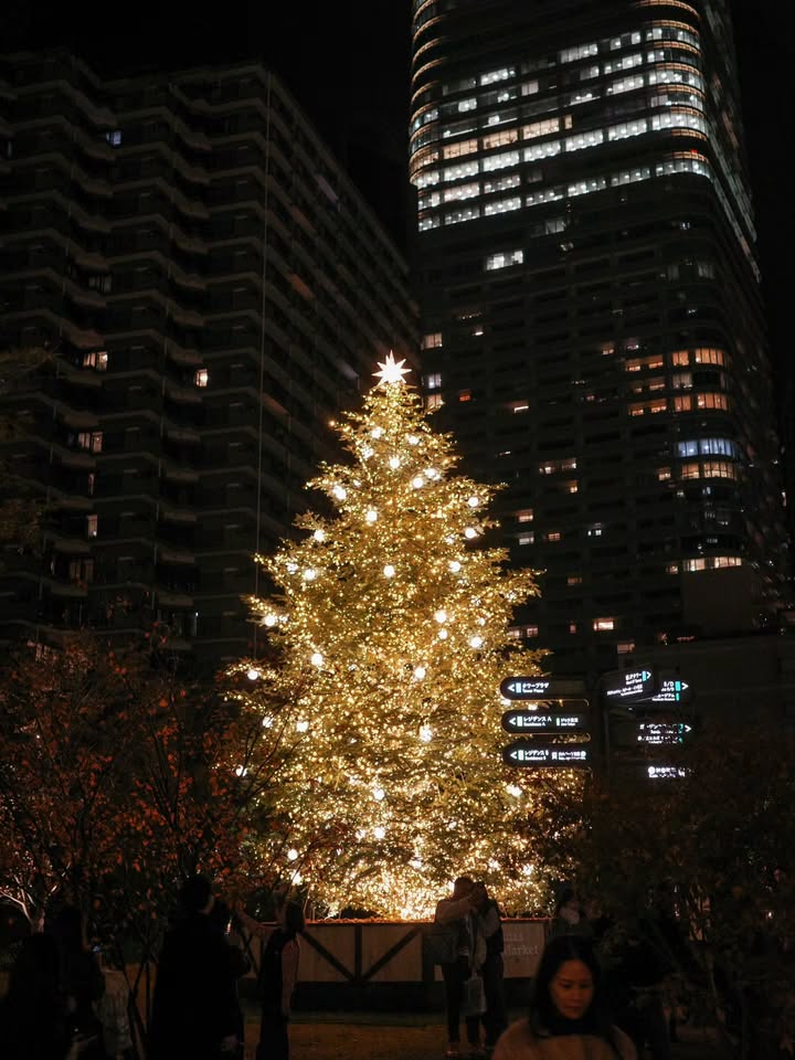 พิม - พิมประภา ตั้งประภาพร