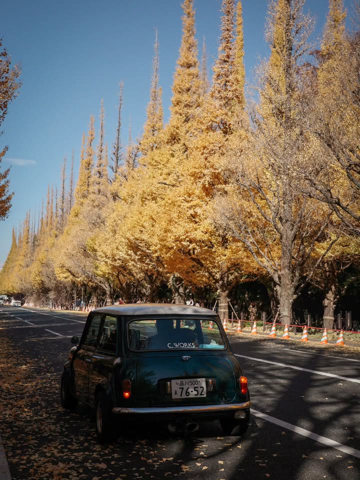 พิม - พิมประภา ตั้งประภาพร