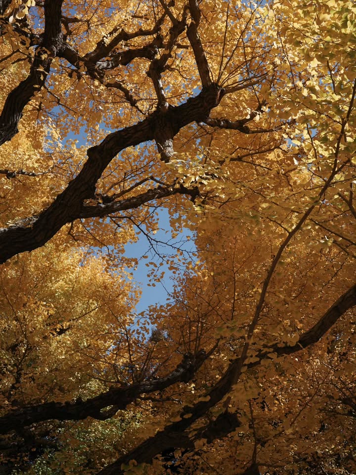 พิม - พิมประภา ตั้งประภาพร