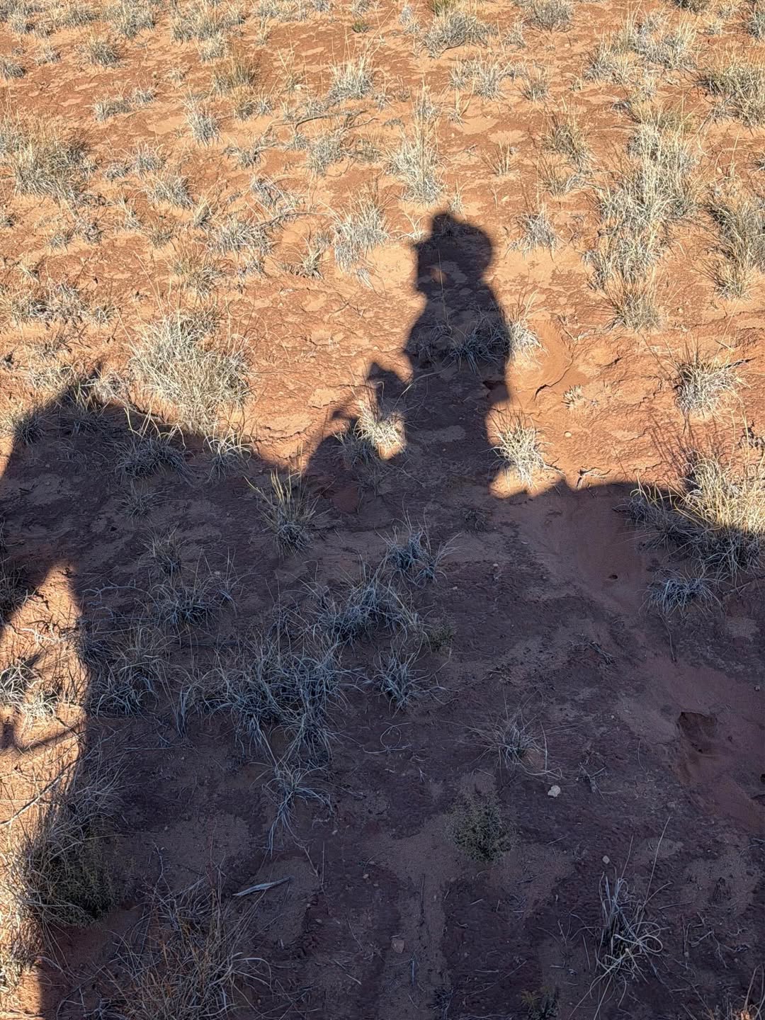 พิม - พิมประภา ตั้งประภาพร