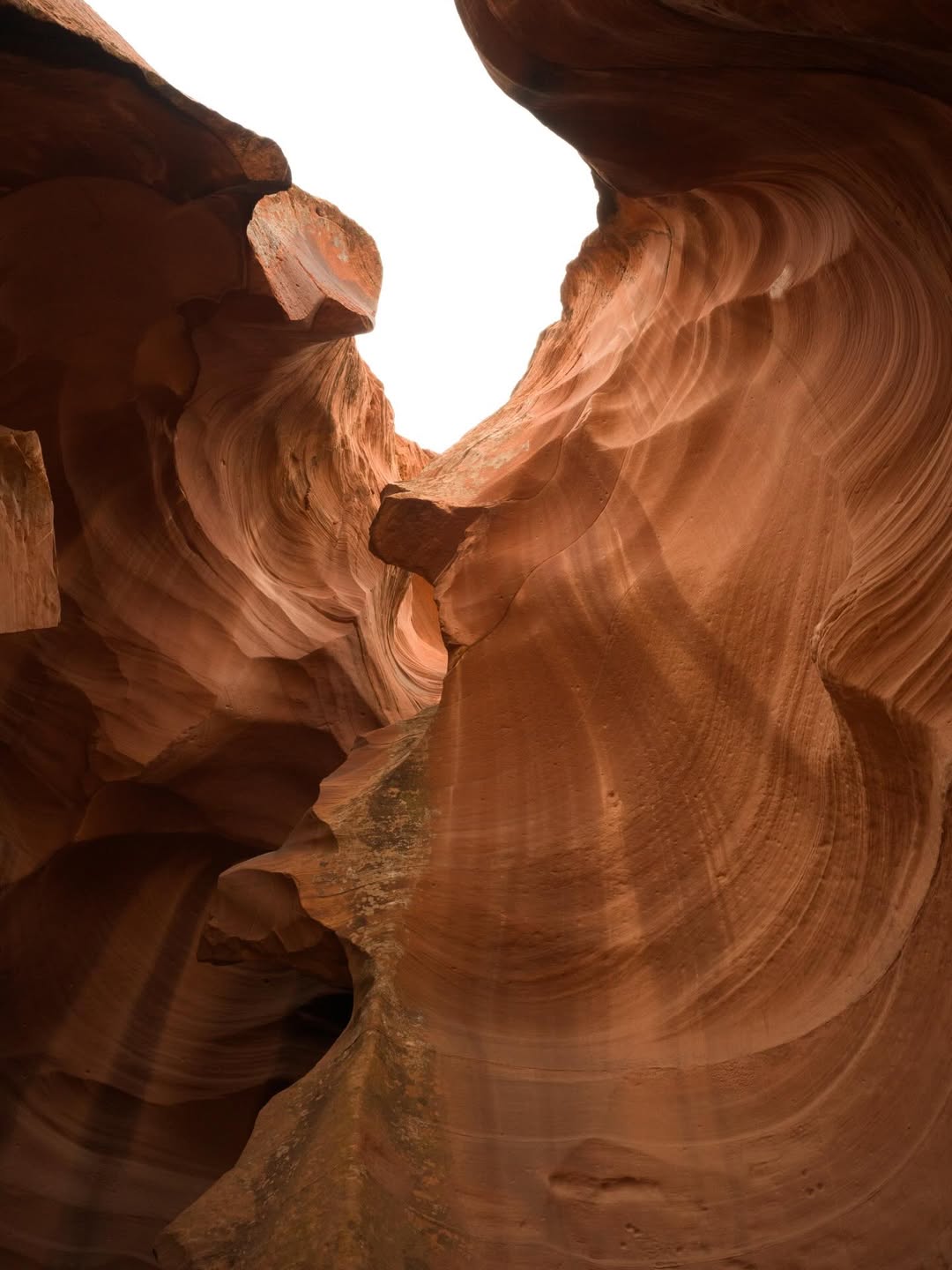 พิม - พิมประภา ตั้งประภาพร