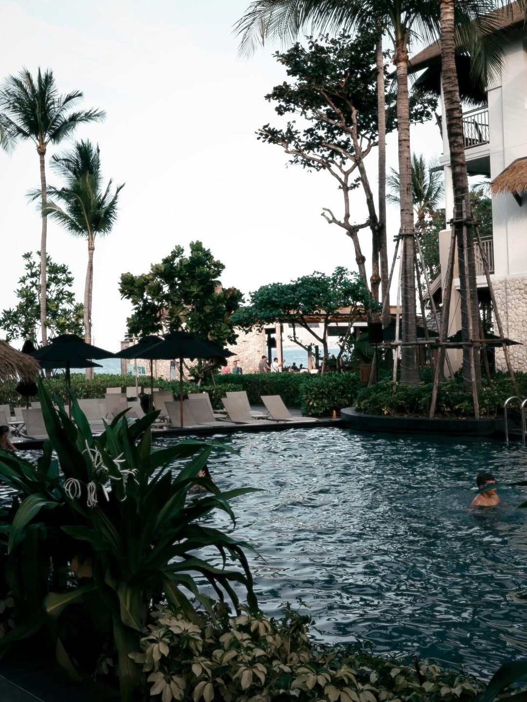 พิม - พิมประภา ตั้งประภาพร