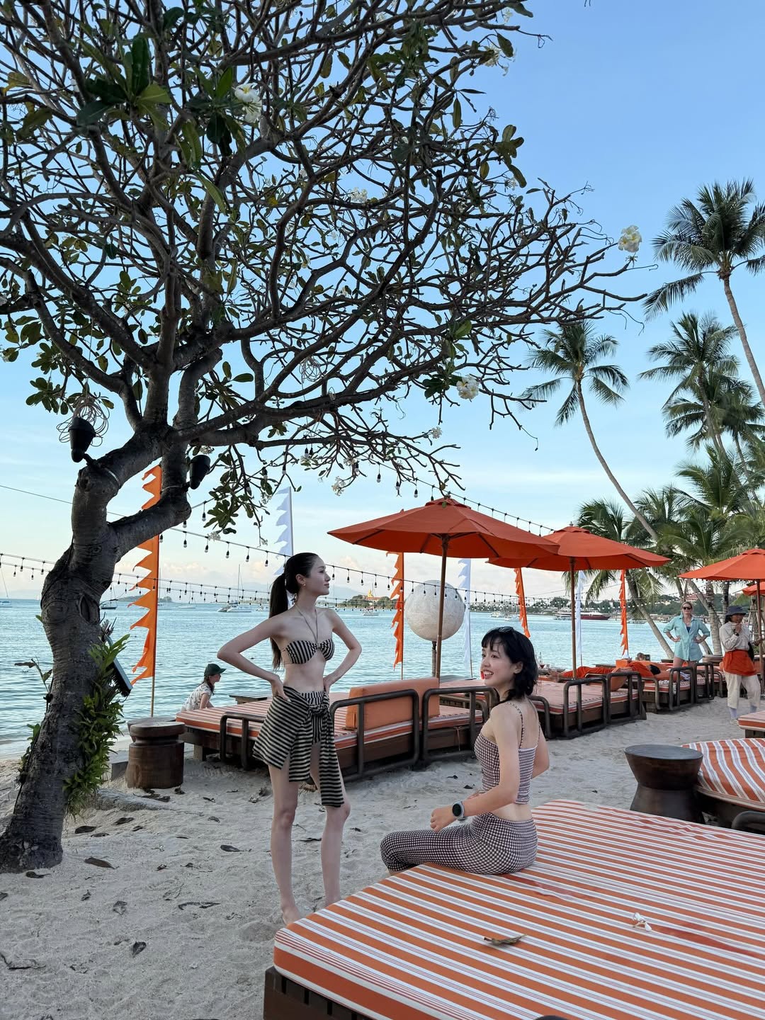 พิม - พิมประภา ตั้งประภาพร