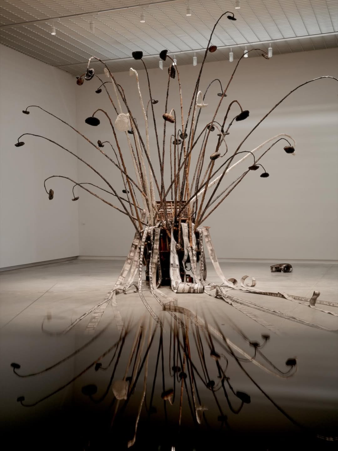 พิม - พิมประภา ตั้งประภาพร