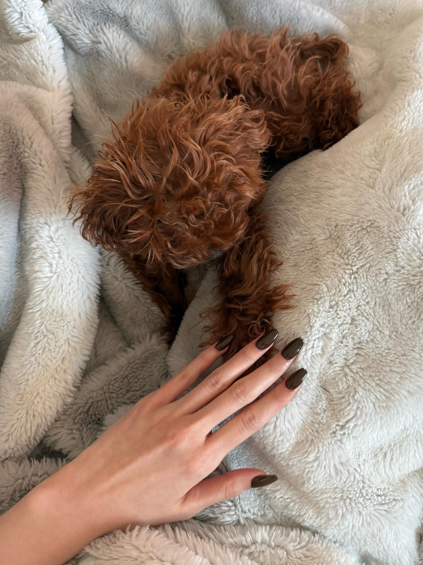 พิม - พิมประภา ตั้งประภาพร