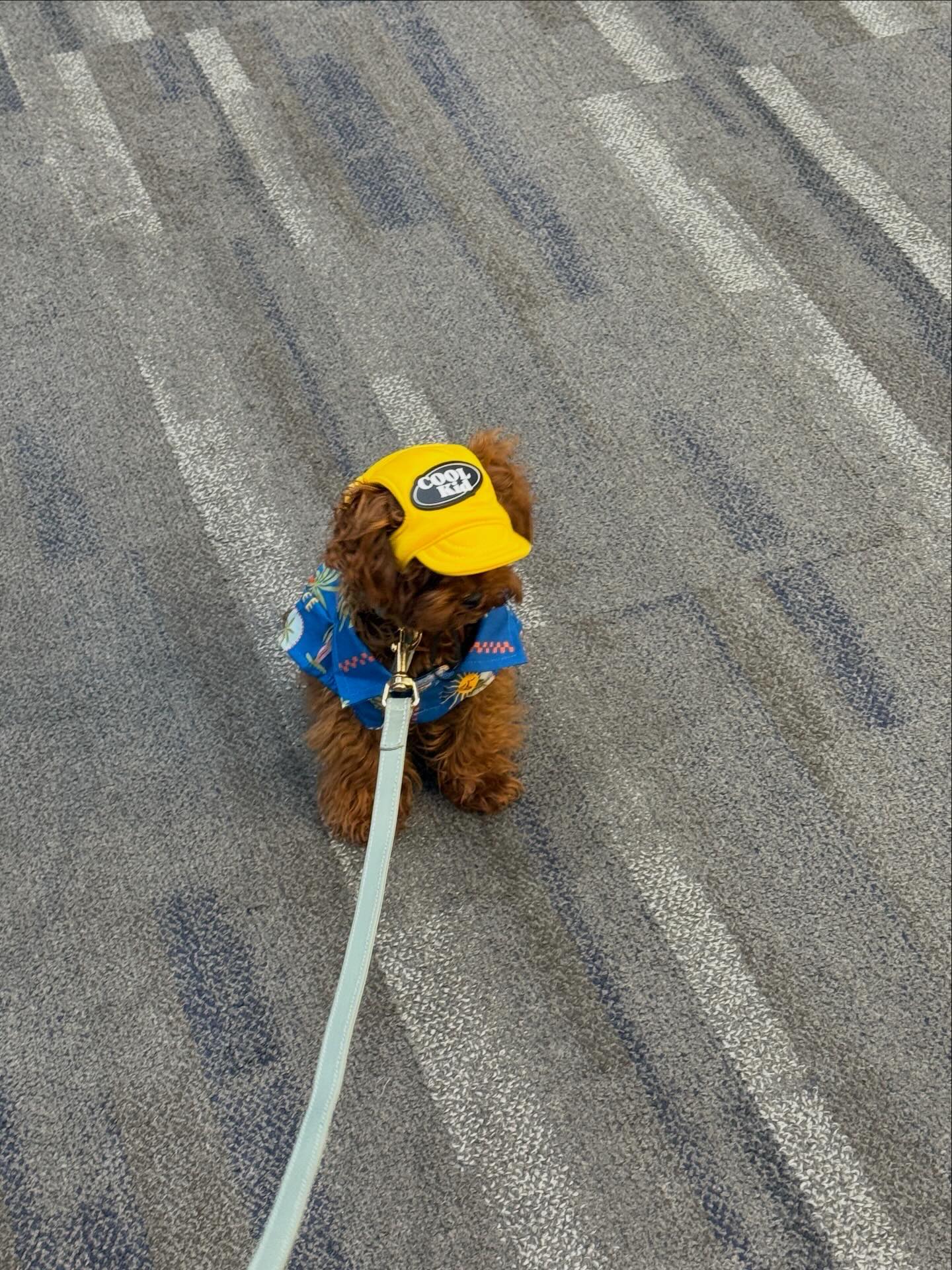 พิม - พิมประภา ตั้งประภาพร