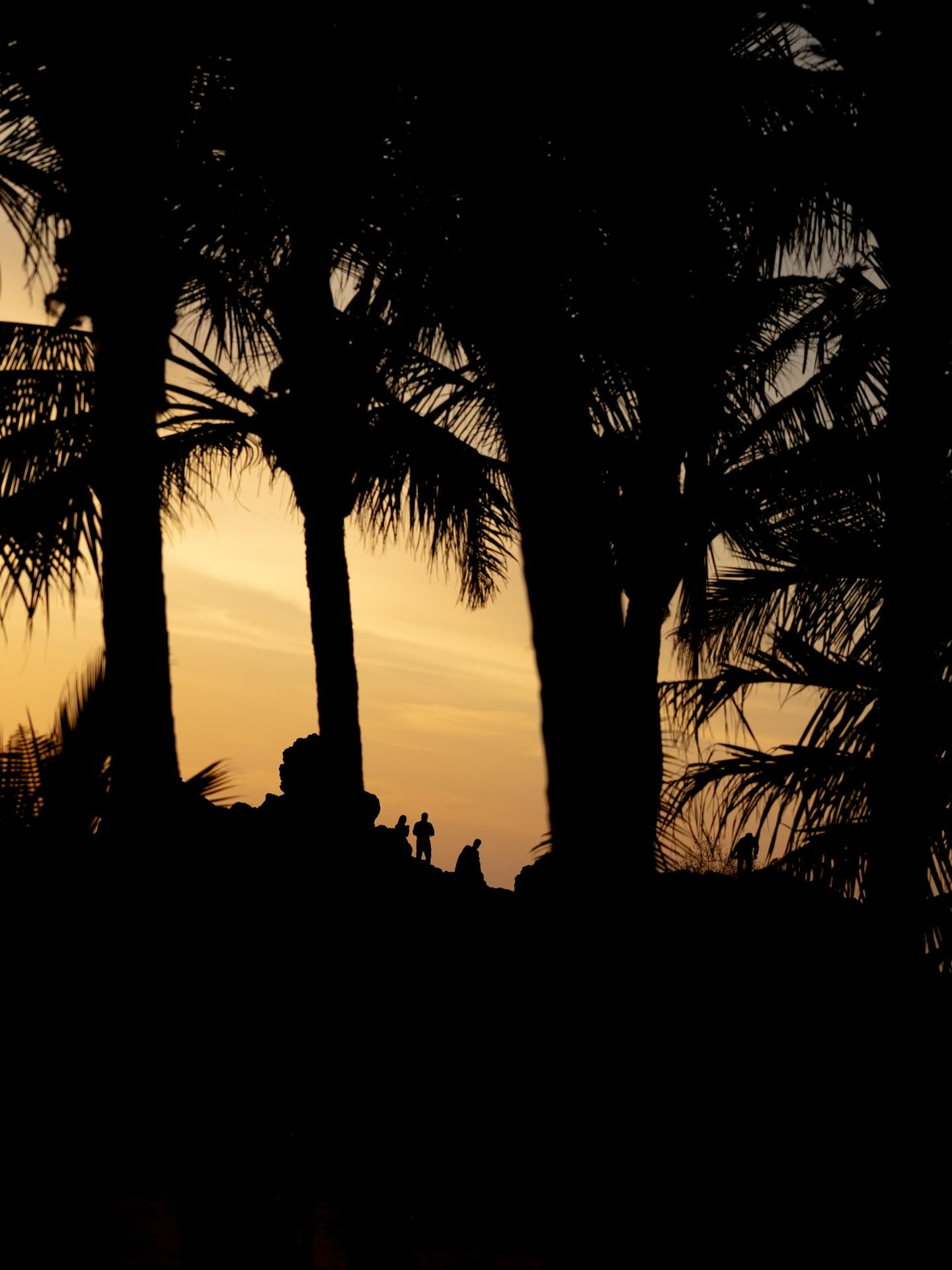 พิม - พิมประภา ตั้งประภาพร